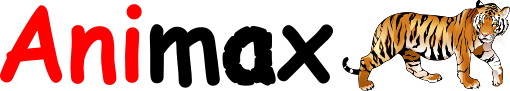 Animax